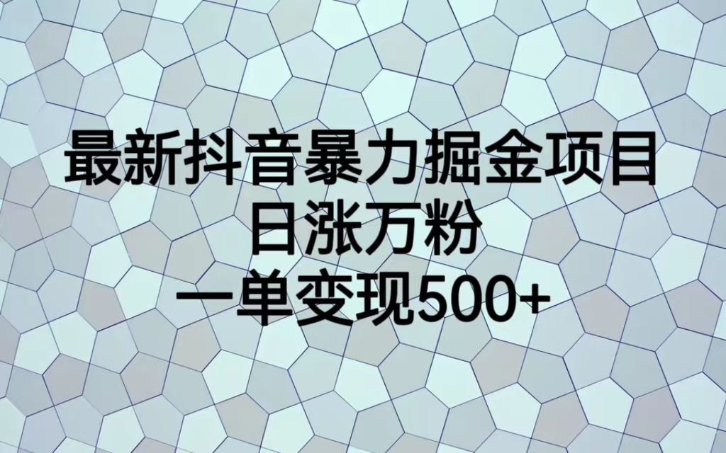 最火热的抖音暴力掘金项目，日涨万粉，多种变现方式，一单变现可达500+-117资源网