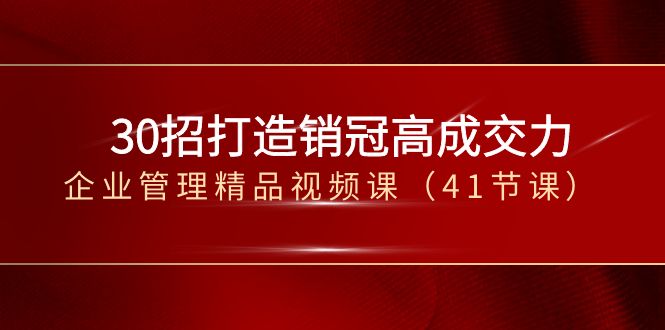 30招-打造销冠高成交力-企业管理精品视频课（41节课）-117资源网