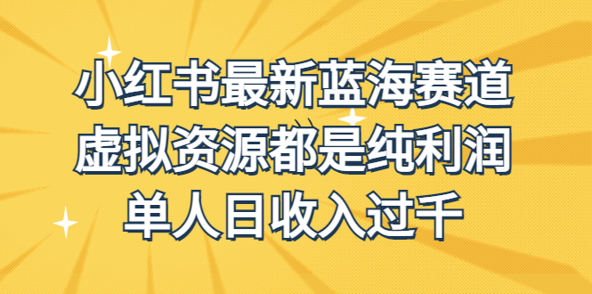 外面收费1980的小红书最新蓝海赛道，虚拟资源都是纯利润，单人日收入过千-117资源网