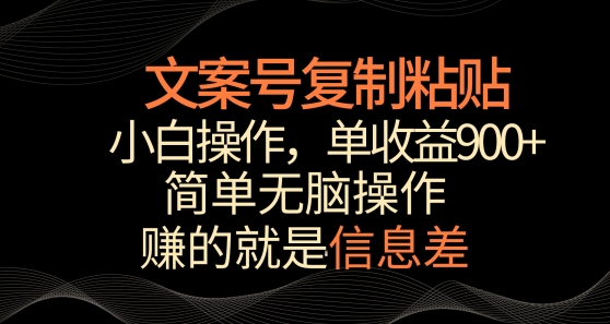 文案号掘金，简单复制粘贴，小白操作，单作品收益900+-117资源网