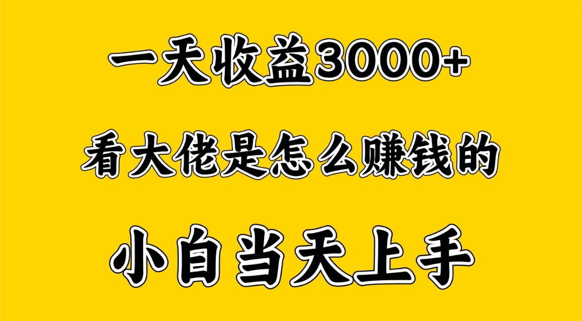 一天赚3000多，大佬是这样赚到钱的，小白当天上手，穷人翻身项目-117资源网