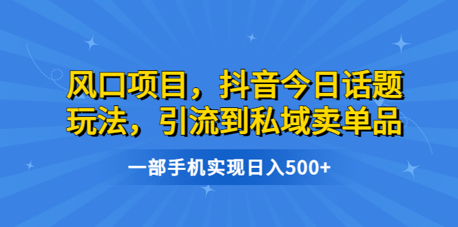 风口项目，抖音今日话题玩法，引流到私域卖单品，一部手机实现日入500+-117资源网