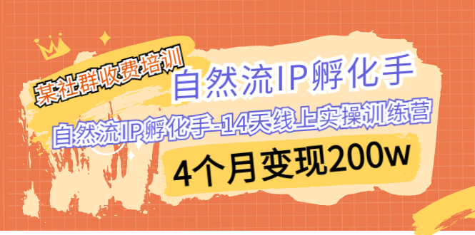 某社群收费培训：自然流IP 孵化手-14天线上实操训练营 4个月变现200w-117资源网