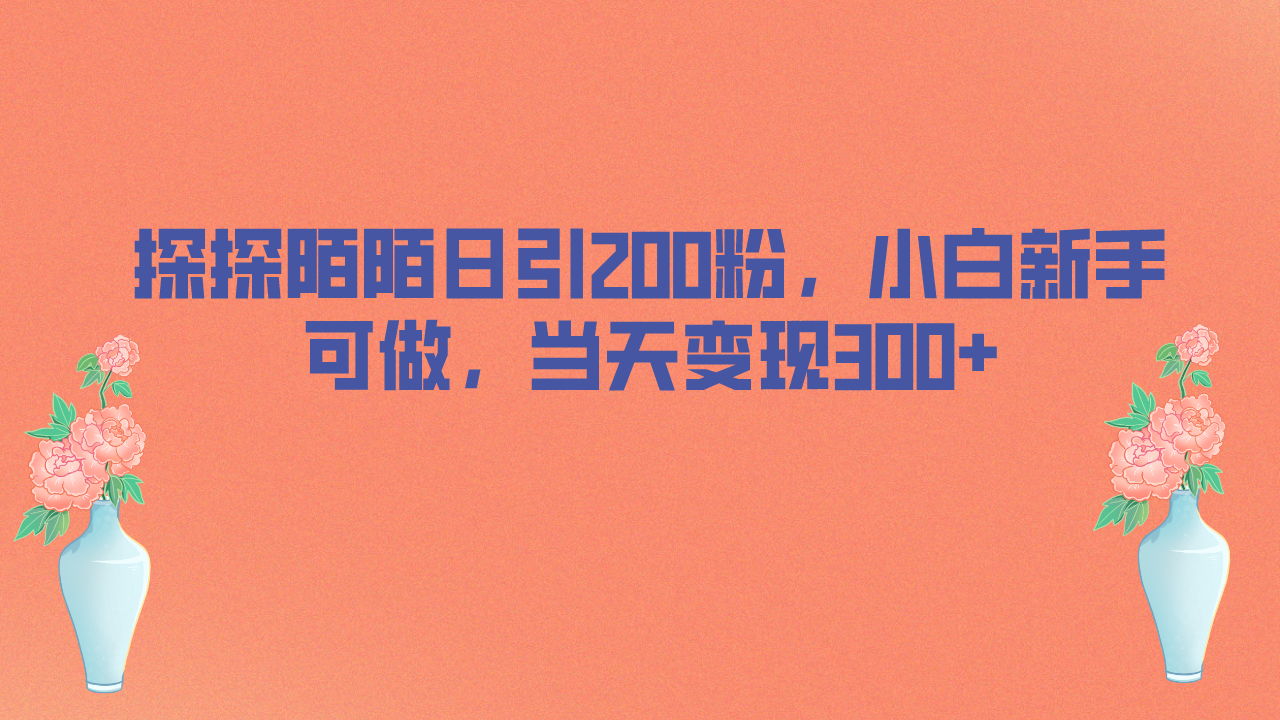 探探陌陌日引200粉，小白新手可做，当天就能变现300+-117资源网