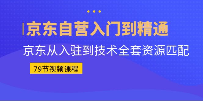 京东自营入门到精通：京东从入驻到技术全套资源匹配（79节课）-117资源网