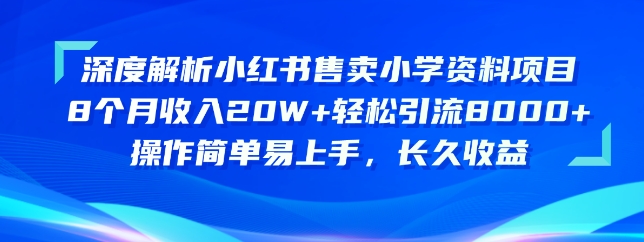 深度解析小红书售卖小学资料项目，操作简单易上手，长久收益-117资源网