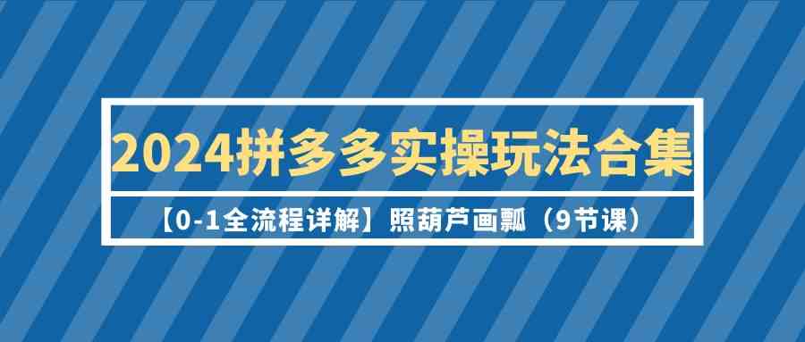 （9559期）2024拼多多实操玩法合集【0-1全流程详解】照葫芦画瓢（9节课）-117资源网