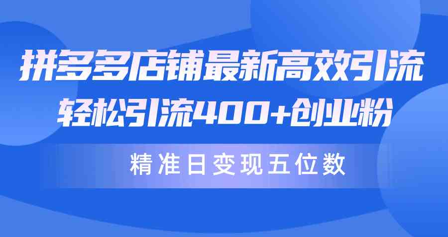 （10041期）拼多多店铺最新高效引流术，轻松引流400+创业粉，精准日变现五位数！-117资源网