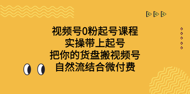 视频号0粉起号课程 实操带上起号 把你的货盘搬视频号 自然流结合微付费-117资源网