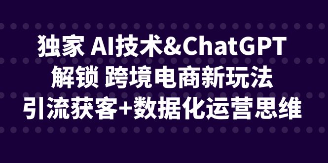 独家 AI技术&ChatGPT解锁 跨境电商新玩法，引流获客+数据化运营思维-117资源网