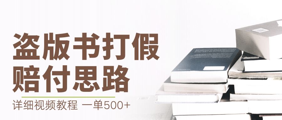 最新盗版书赔付打假项目，一单利润500+【详细玩法视频教程】-117资源网