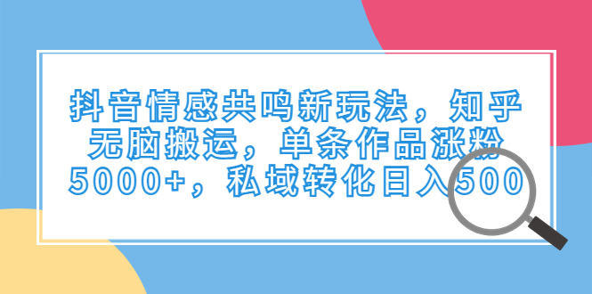 抖音情感共鸣新玩法，知乎无脑搬运，单条作品涨粉5000+，私域转化日入500-117资源网