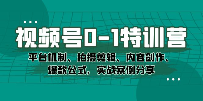 视频号0-1特训营：平台机制、拍摄剪辑、内容创作、爆款公式，实战案例分享-117资源网