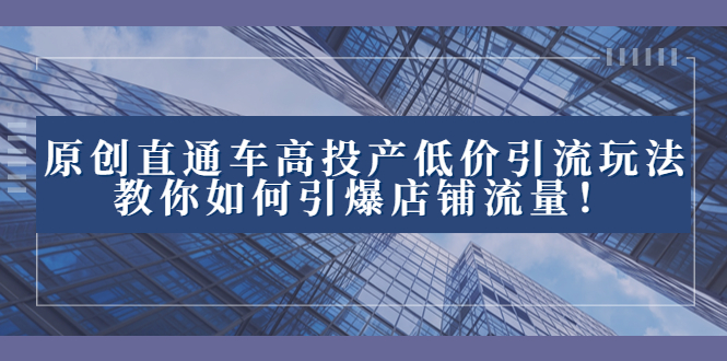 2023直通车高投产低价引流玩法，教你如何引爆店铺流量！-117资源网