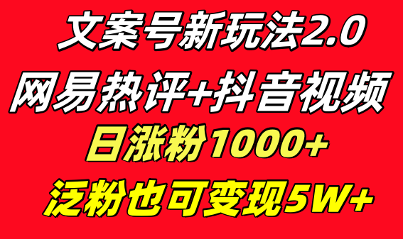 文案号新玩法 网易热评+抖音文案 一天涨粉1000+ 多种变现模式 泛粉也可变现-117资源网