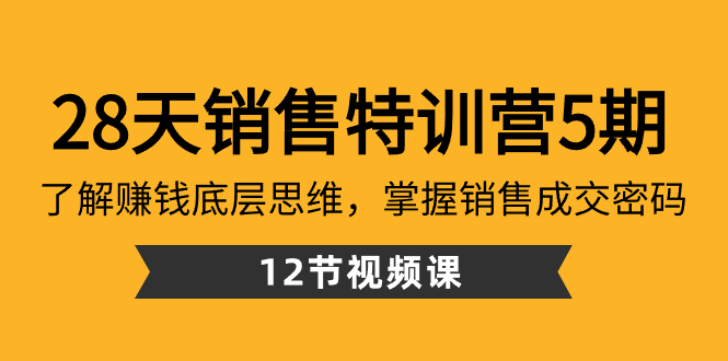 28天·销售特训营5期：了解赚钱底层思维，掌握销售成交密码（12节课）-117资源网