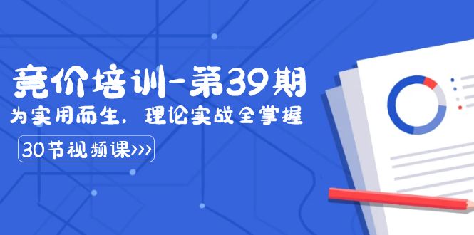 某收费竞价培训-第39期：为实用而生，理论实战全掌握（30节课）-117资源网