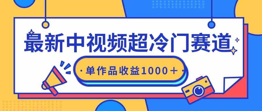 （9275期）最新中视频超冷门赛道，轻松过原创，单条视频收益1000＋-117资源网