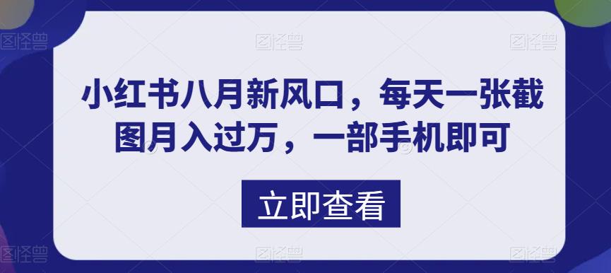 八月新风口，小红书虚拟项目一天收入1000+，实战揭秘-117资源网