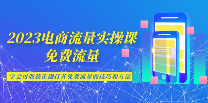 2023电商流量实操课-免费流量，学会可收获正确打开免费流量的技巧和方法-117资源网