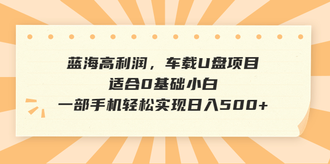 蓝海高利润，车载U盘项目，适合0基础小白，一部手机轻松实现日入500+-117资源网