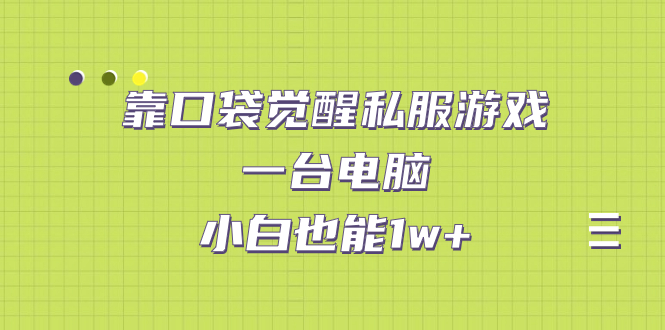 靠口袋觉醒私服游戏，一台电脑，小白也能1w+（教程+工具+资料）-117资源网