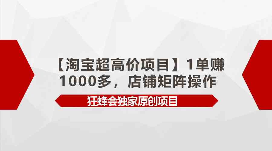 （9849期）【淘宝超高价项目】1单赚1000多，店铺矩阵操作-117资源网