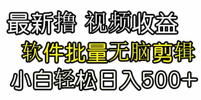 （9569期）发视频撸收益，软件无脑批量剪辑，第一天发第二天就有钱-117资源网