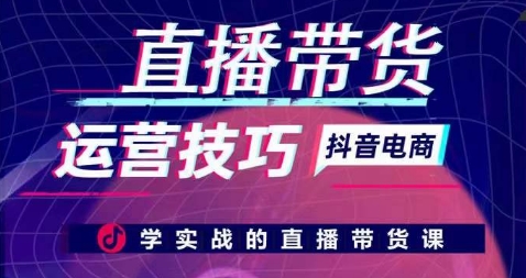 直播带货运营技巧，学实战的直播带货课-117资源网