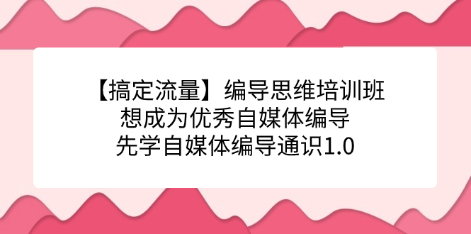 【搞定流量】编导思维培训班，想成为优秀自媒体编导先学自媒体编导通识1.0-117资源网