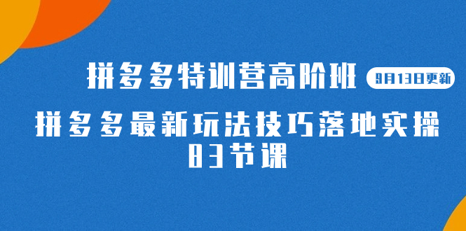 2023拼多多·特训营高阶班【9月19日更新】拼多多最新玩法技巧落地实操-83节-117资源网