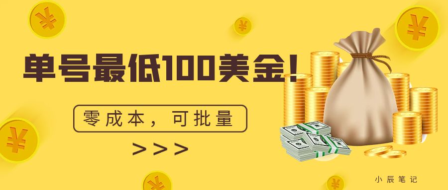 单号最低100美金，零成本，小白无脑操作。可复制，可扩大。-117资源网