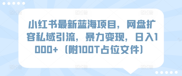 小红书最新蓝海项目，网盘扩容私域引流，暴力变现，日入1000+（附100T占位文件）-117资源网