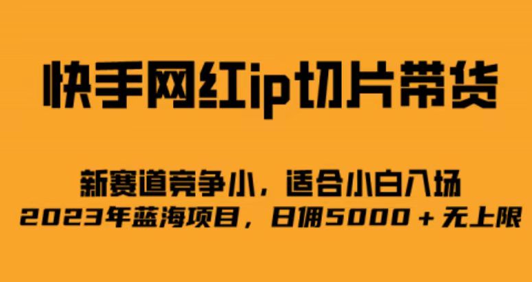 快手网红ip切片新赛道，竞争小事，适合小白 2023蓝海项目-117资源网