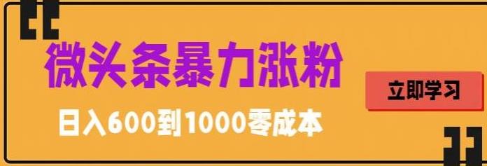 微头条暴力涨粉技巧搬运文案就能涨几万粉丝，简单0成本，日赚600-117资源网