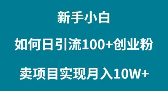 （9556期）新手小白如何通过卖项目实现月入10W+-117资源网