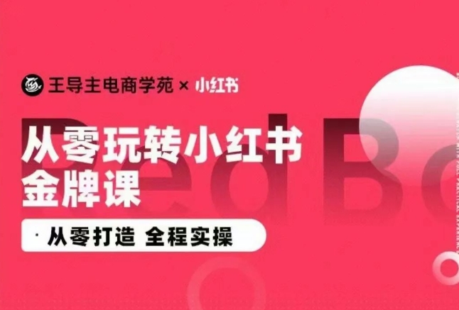 王导主·小红书电商运营实操课，​从零打造  全程实操-117资源网