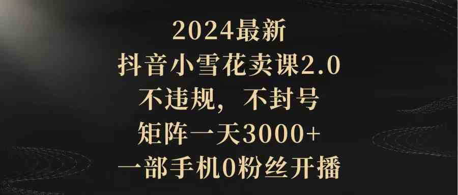 （9639期）2024最新抖音小雪花卖课2.0 不违规 不封号 矩阵一天3000+一部手机0粉丝开播-117资源网