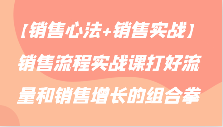 【销售心法+销售实战】销售流程实战课打好流量和销售增长的组合拳-117资源网