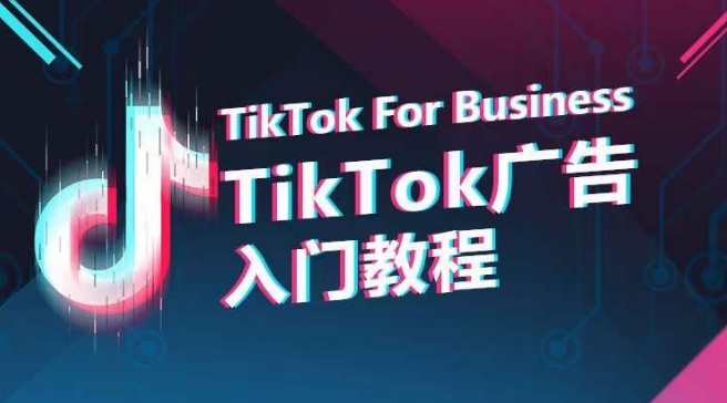 TikTok广告入门教程，从0到1掌握TikTok投放的全流程-117资源网