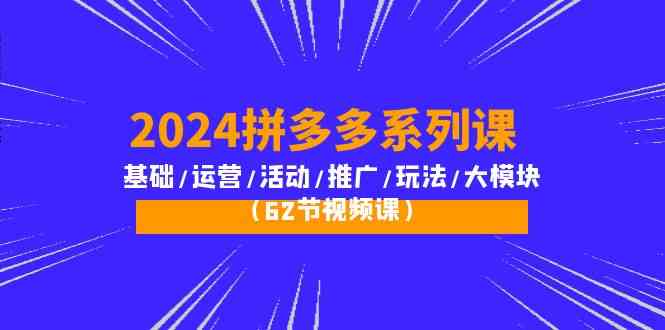 （10019期）2024拼多多系列课：基础/运营/活动/推广/玩法/大模块（62节视频课）-117资源网