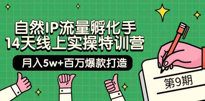 （9881期）自然IP流量孵化手 14天线上实操特训营【第9期】月入5w+百万爆款打造 (74节)-117资源网