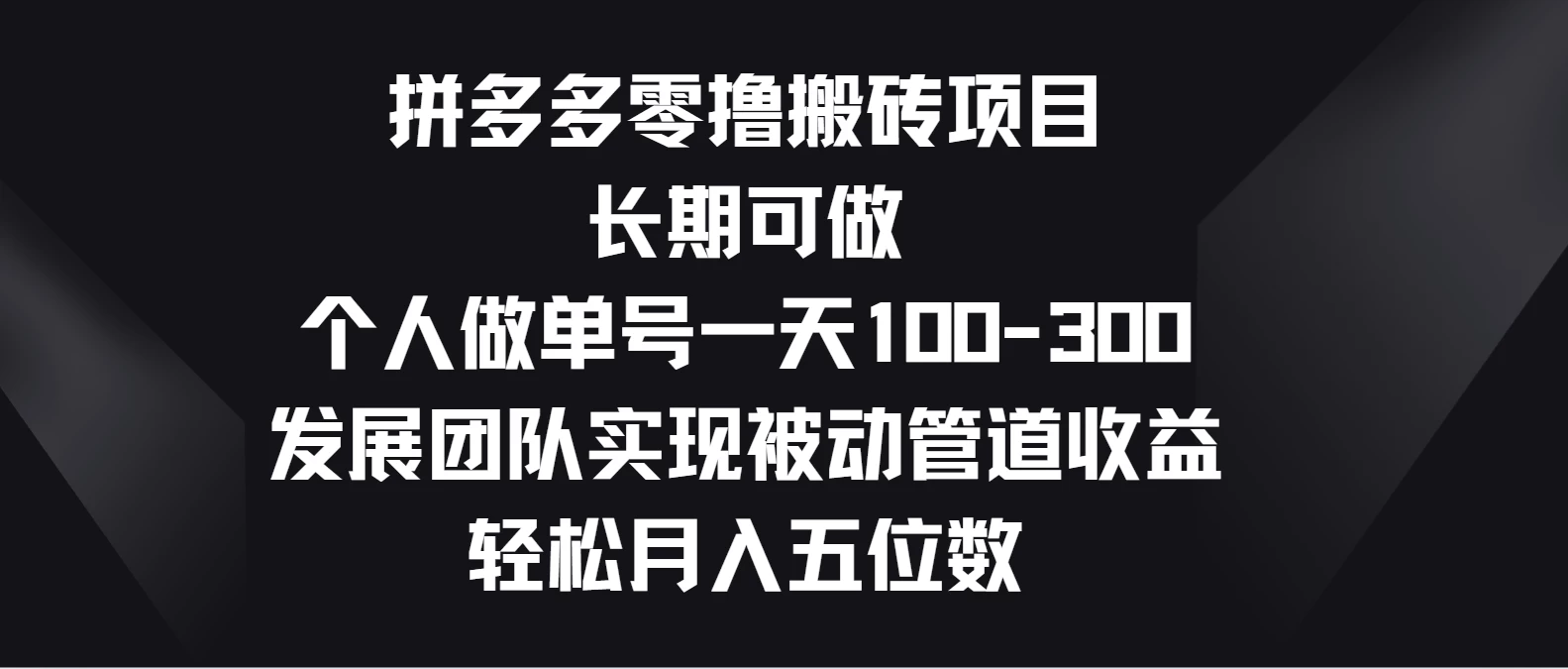 拼多多零撸搬砖项目，长期可做，个人做单号一天100-300，发展团队实现被动管道收益，轻松月入五位数-117资源网