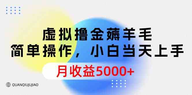 （9864期）虚拟撸金薅羊毛，简单操作，小白当天上手，月收益5000+-117资源网