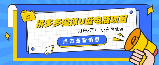 拼多多虚拟U盘电商红利项目：月赚2万+，新手小白也能玩-117资源网