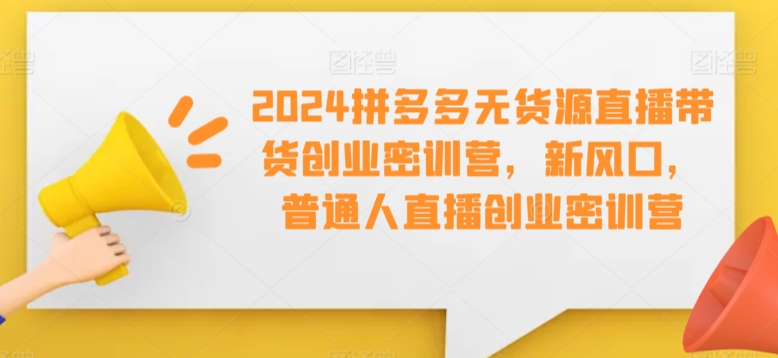 2024拼多多无货源直播带货创业密训营，新风口，普通人直播创业密训营-117资源网