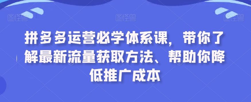 拼多多运营必学体系课，带你了解最新流量获取方法、帮助你降低推广成本-117资源网