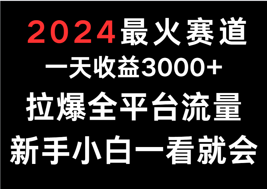 2024最火赛道，一天收一3000+.拉爆全平台流量，新手小白一看就会-117资源网