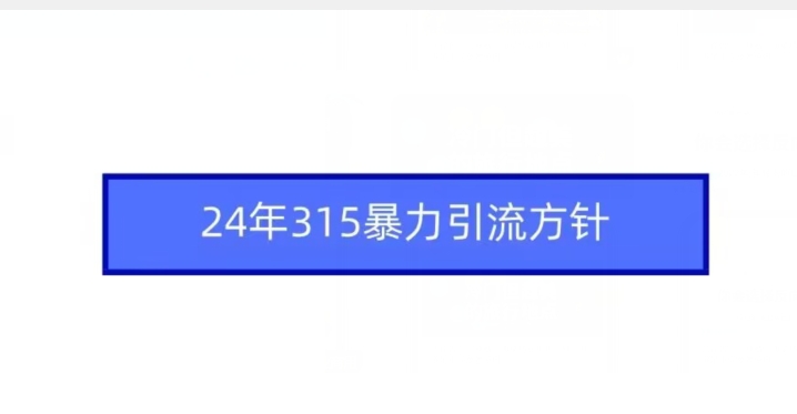 24年315暴力引流方针-117资源网