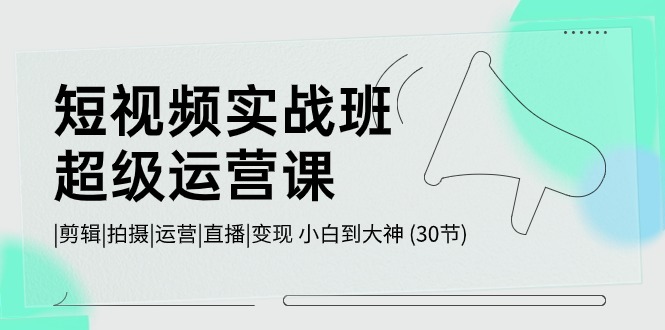 短视频实战班超级运营课 |剪辑|拍摄|运营|直播|变现 小白到大神 (30节)-117资源网